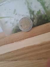 2 Euro Rare Coin From 2002