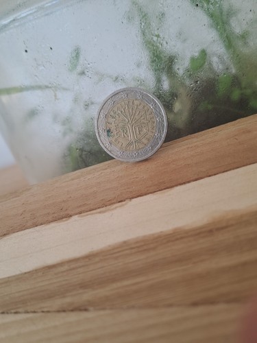 Euro rare coin - 2,